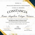 Ampliar imagen: certificate 7