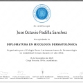 Ampliar imagen: certificate 7