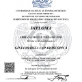 Ampliar imagen: certificate 2