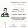 Ampliar imagen: certificate 1