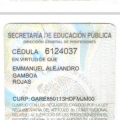 Ampliar imagen: certificate 2