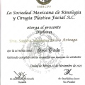 Ampliar imagen: certificate 4