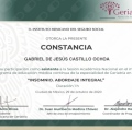 Ampliar imagen: certificate 32