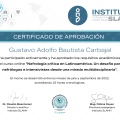 Ampliar imagen: certificate 6