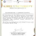 Ampliar imagen: certificate 6