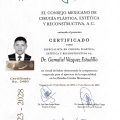 Ampliar imagen: certificate 1