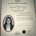 Ampliar imagen: certificate 8