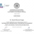 Ampliar imagen: certificate 2