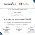Ampliar imagen: certificate 58