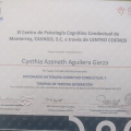 Ampliar imagen: certificate 1