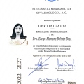 Ampliar imagen: certificate 1