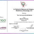 Ampliar imagen: certificate 3