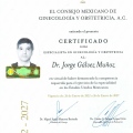 Ampliar imagen: certificate 9