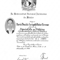 Ampliar imagen: certificate 4