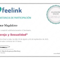 Ampliar imagen: certificate 7