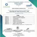 Ampliar imagen: certificate 2