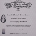 Ampliar imagen: certificate 3