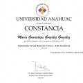 Ampliar imagen: certificate 1