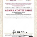 Ampliar imagen: certificate 6