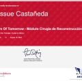 Ampliar imagen: certificate 6