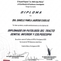 Ampliar imagen: certificate 4
