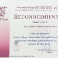 Ampliar imagen: certificate 9