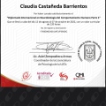 Ampliar imagen: certificate 11