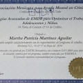 Ampliar imagen: certificate 5