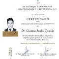 Ampliar imagen: certificate 4