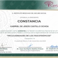 Ampliar imagen: certificate 31