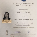 Ampliar imagen: certificate 1