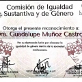 Ampliar imagen: certificate 5