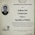 Ampliar imagen: certificate 3