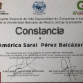 Ampliar imagen: certificate 19