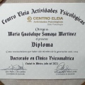 Ampliar imagen: certificate 1