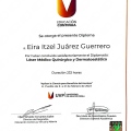 Ampliar imagen: certificate 1