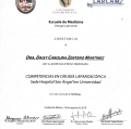 Ampliar imagen: certificate 7