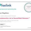 Ampliar imagen: certificate 4