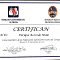 Ampliar imagen: certificate 7