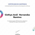 Ampliar imagen: certificate 2