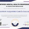 Ampliar imagen: certificate 18