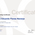 Ampliar imagen: certificate 5