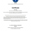 Ampliar imagen: certificate 9