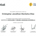 Ampliar imagen: certificate 5