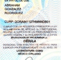 Ampliar imagen: certificate 9