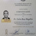 Ampliar imagen: certificate 4
