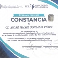 Ampliar imagen: certificate 8