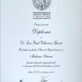 Ampliar imagen: certificate 17