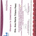 Ampliar imagen: certificate 3