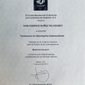Ampliar imagen: certificate 2